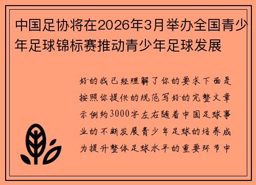 中国足协将在2026年3月举办全国青少年足球锦标赛推动青少年足球发展